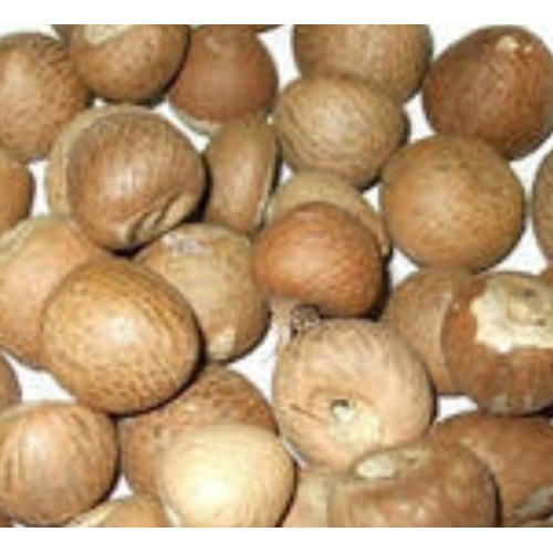 Whole Areca Nuts