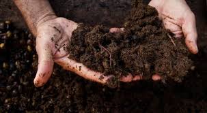 Compost Based Organic Fertilizer, for Agriculture, Standard : Bio Grade