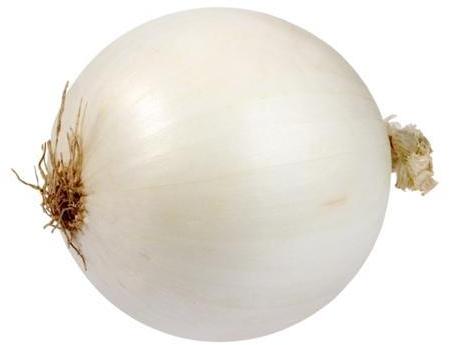 Fresh Big White Onion