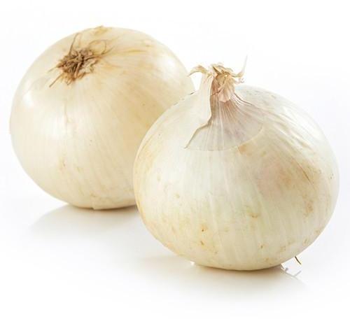 Large White Onion