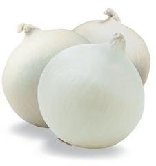 Organic Fresh White Onion