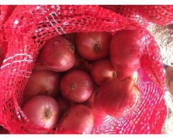Organic Red Onion, Type : Fresh