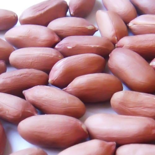 Natural Dried Peanuts, for Butter, Cooking Use, Making Oil, Form : Kernels