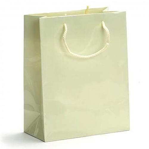 Laminated Paper Carry Bag, for Shopping, Feature : Good Quality, Light Weight