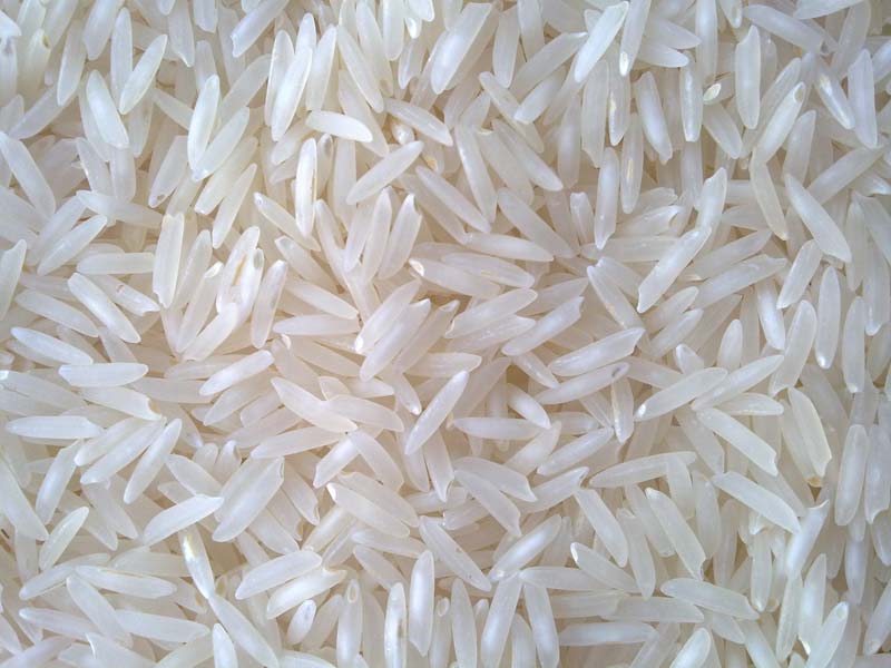 Hard Organic 1509 Basmati Rice, for Human Consumption, Style : Dried