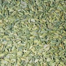 Organic Fennel Seeds