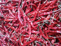 Organic Teja Dried Red Chilli