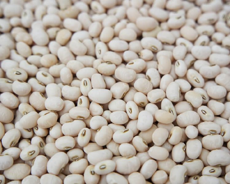 Organic Cow Peas, Color : Brown