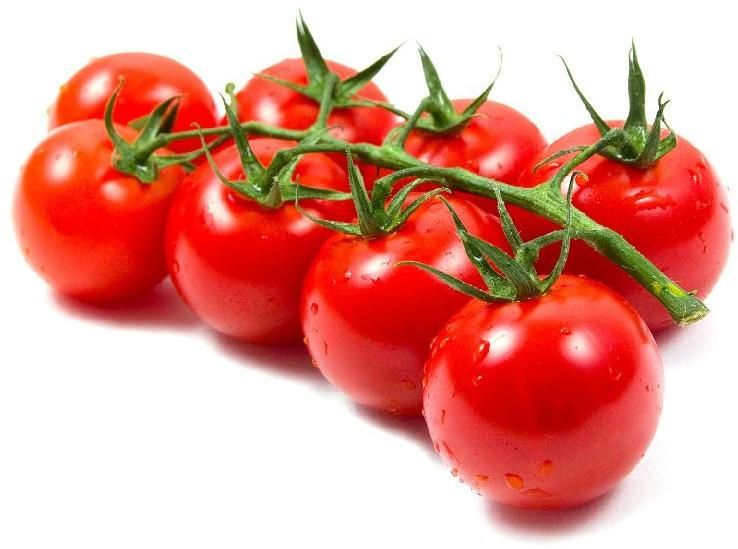 fresh red tomato