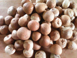 Common Indian Organic Areca Nuts, for Mouthe Freshenser, Packaging Type : Jute Bag