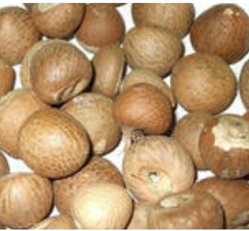 Natural Raw Areca Nuts, For Medicines, Packaging Size : 10kg, 25kg, Etc