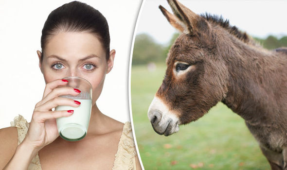 Healthy Donkey Milk, Purity : 99.9%