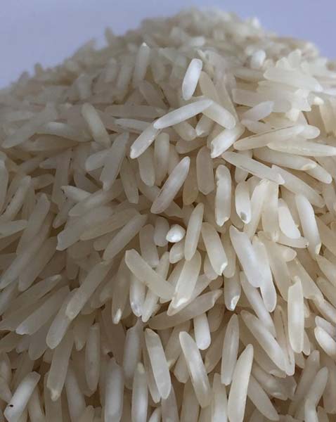 Hard Organic PB1 Basmati Rice, for High In Protein, Variety : Long Grain