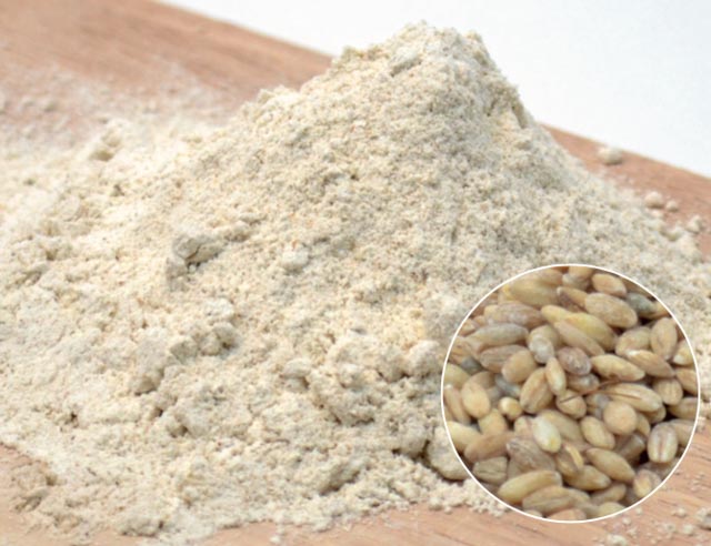 Organic Barley Flour, Feature : Gluten Free, Good For Health