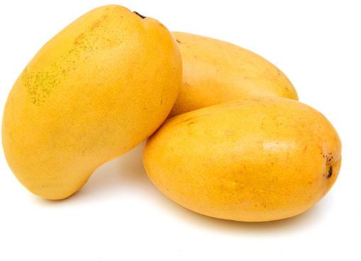 Fresh Mango