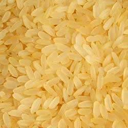 Hard Organic golden sella rice, Style : Dried