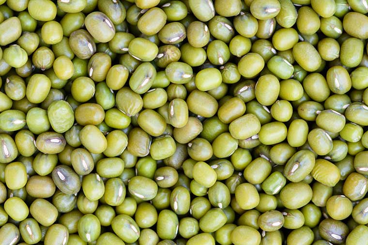 Organic Mung Beans