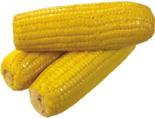 Natural Yellow Maize