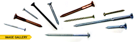 Brass Wood Screws