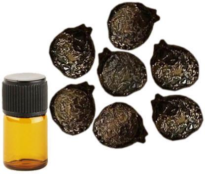 Sugandh Kokila Essential Oil