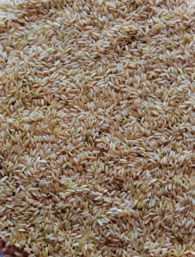 brown rice