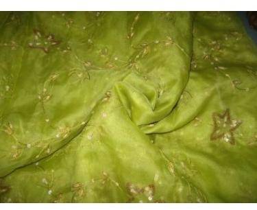 embroidered Kiwi Green Colour silk