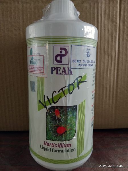 Verticillium Lecanii, for Agricultural, Purity : 99.80%