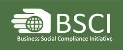 BSCI Service