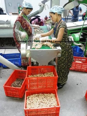 Electric Vietnam Cashew Processing Machinery, Voltage : 380V