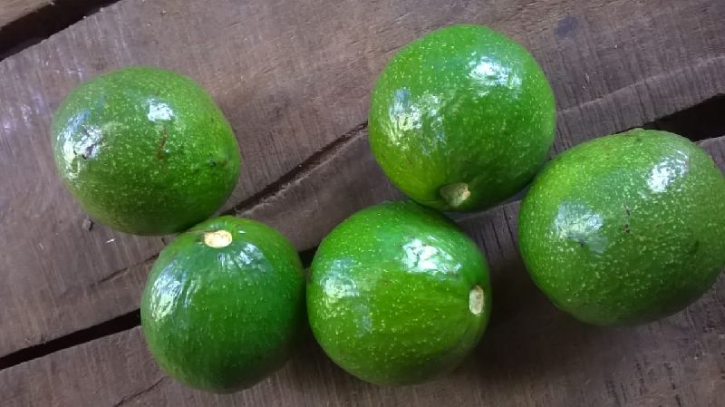 Organic Fresh lime, Color : Green