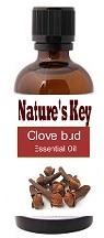 clove bud essential oil