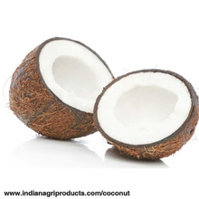 Common Semi-Husked Coconut in Semi Husked, Color : light Brown
