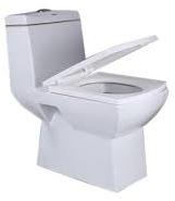 Water Closet Toilet