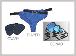 Gonad Ovary Shield and Diapers
