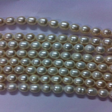 Fresh Water Pearl Beads