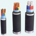 PVC & XLPE Insulated Power Cables
