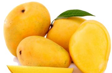 Mango, for Direct Consumption, Variety : Alphonso, Kesar