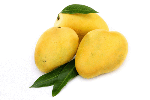 Organic Fresh Baneshan Mango, Color : Yellow