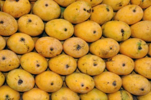 Organic Fresh Chaunsa Mango