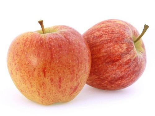Organic Fresh Gala Apple, Shelf Life : 21days