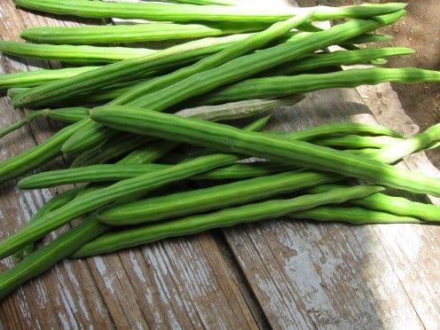 Organic Fresh Green Drumstick, for Cooking, Feature : Eco-Friendly
