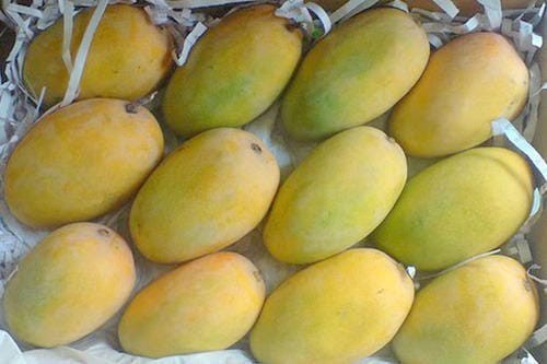 Fresh Lalbagh Mango