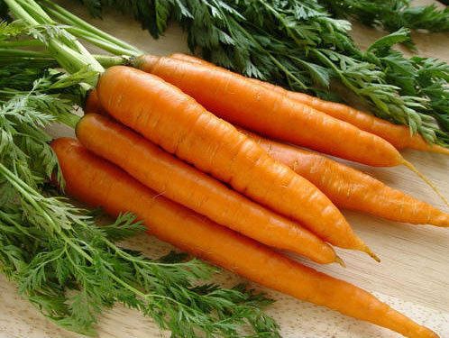 Fresh Natural Carrot