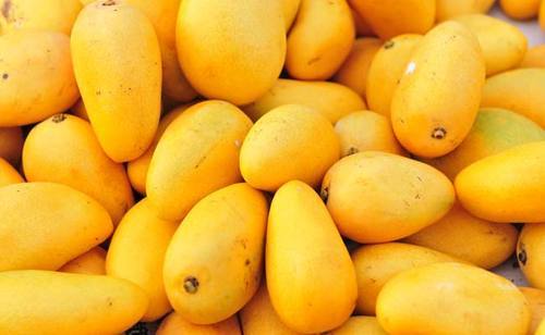Organic Fresh Natural Mango