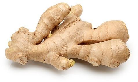 Fresh Organic Ginger, for Cooking, Cosmetic Products, Medicine, Packaging Type : Gunny Bags, Jute Bags
