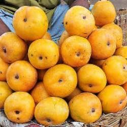 Fresh Rumani Mango, Color : Yellow