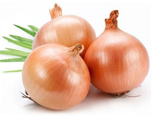 Organic Fresh Shallot Onion, Shelf Life : 15days