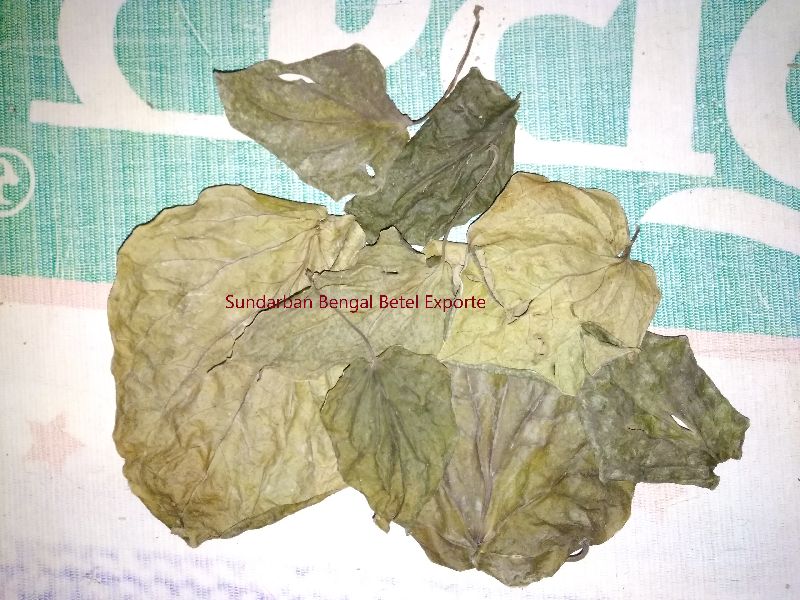 Refined Common Organic Dry Betel Leaves, for Baking, Cooking, Eating, Human Consumption, Feature : Antioxidant