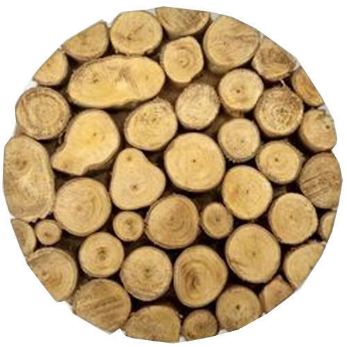 Wooden Wood Logs Trivet