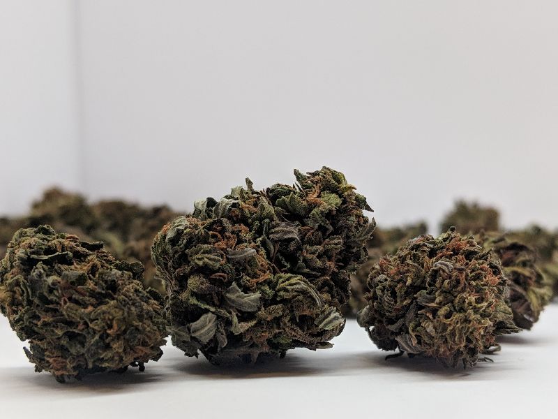 CBD Flower Manufacturer in Colorado United States by PURPLE MONKEY LTD